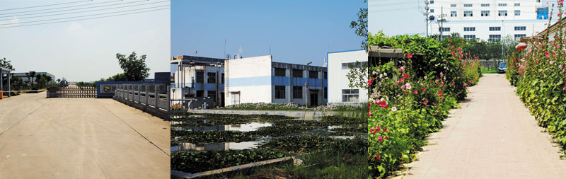关于惠丰(图1) 关于惠丰(图1)